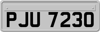 PJU7230