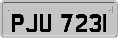 PJU7231