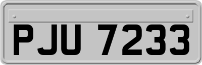 PJU7233