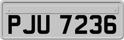 PJU7236