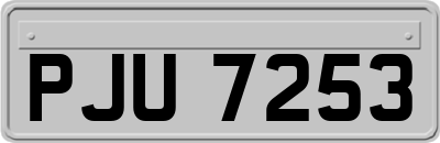 PJU7253