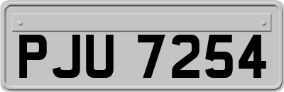 PJU7254