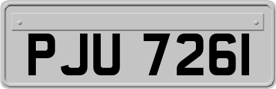 PJU7261