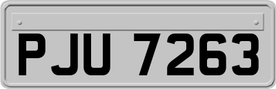 PJU7263