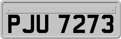 PJU7273