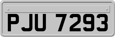 PJU7293