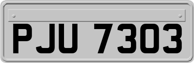 PJU7303