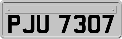 PJU7307