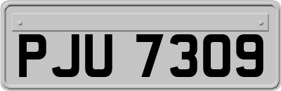 PJU7309