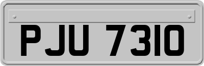 PJU7310