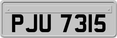 PJU7315