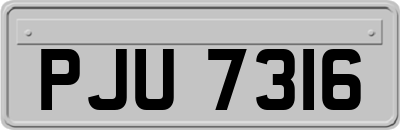 PJU7316