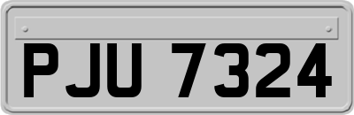 PJU7324