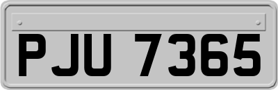 PJU7365