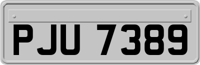 PJU7389
