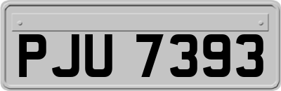 PJU7393