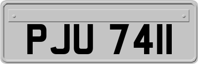 PJU7411