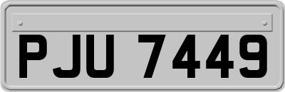 PJU7449
