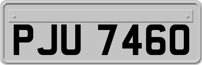 PJU7460
