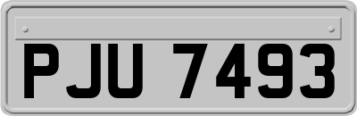 PJU7493