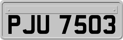 PJU7503