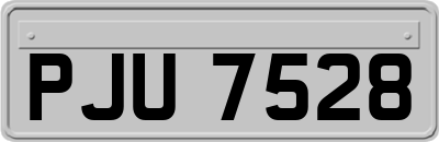 PJU7528
