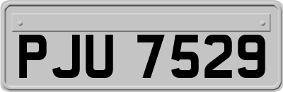 PJU7529