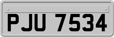 PJU7534