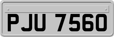PJU7560