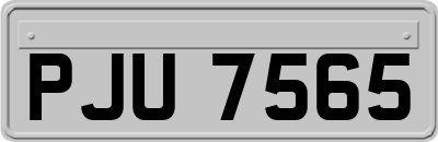 PJU7565