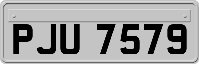 PJU7579