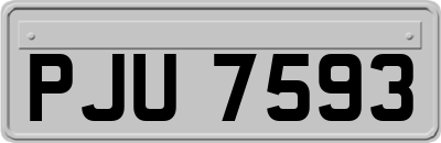 PJU7593