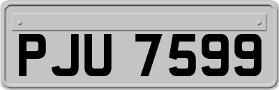 PJU7599