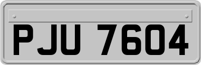 PJU7604