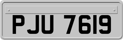 PJU7619