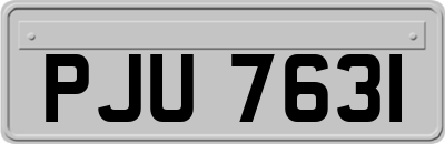 PJU7631