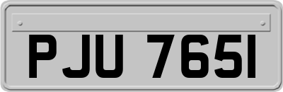 PJU7651