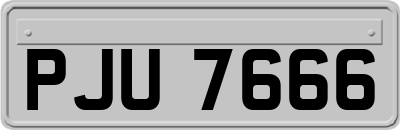PJU7666