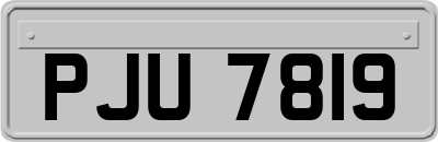 PJU7819