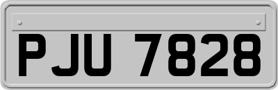 PJU7828