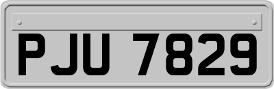PJU7829