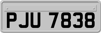 PJU7838