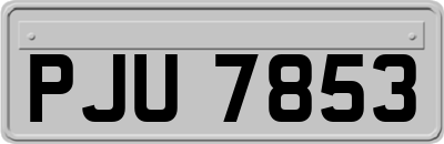 PJU7853