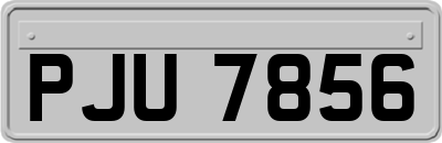 PJU7856