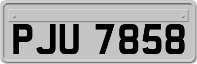 PJU7858