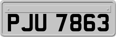 PJU7863