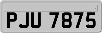 PJU7875
