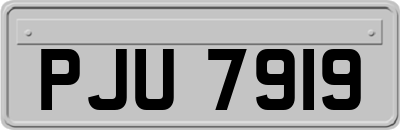 PJU7919