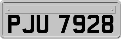 PJU7928