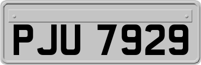 PJU7929